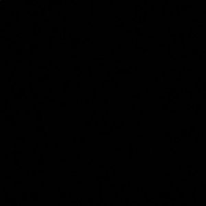 Meet your Posher, Danyelle